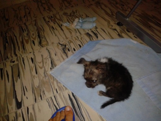 jugando con mi pie!